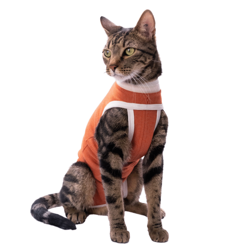 Body de Cobre Tradicional para Gatos y Perros