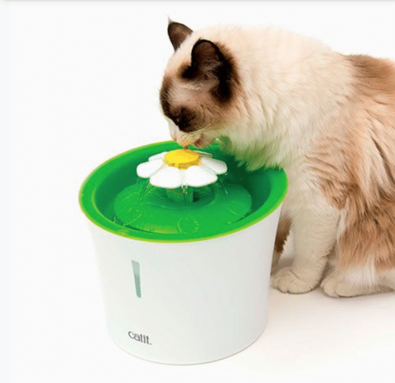 Fuente Bebedera Flor para Gatos Catit 2.0