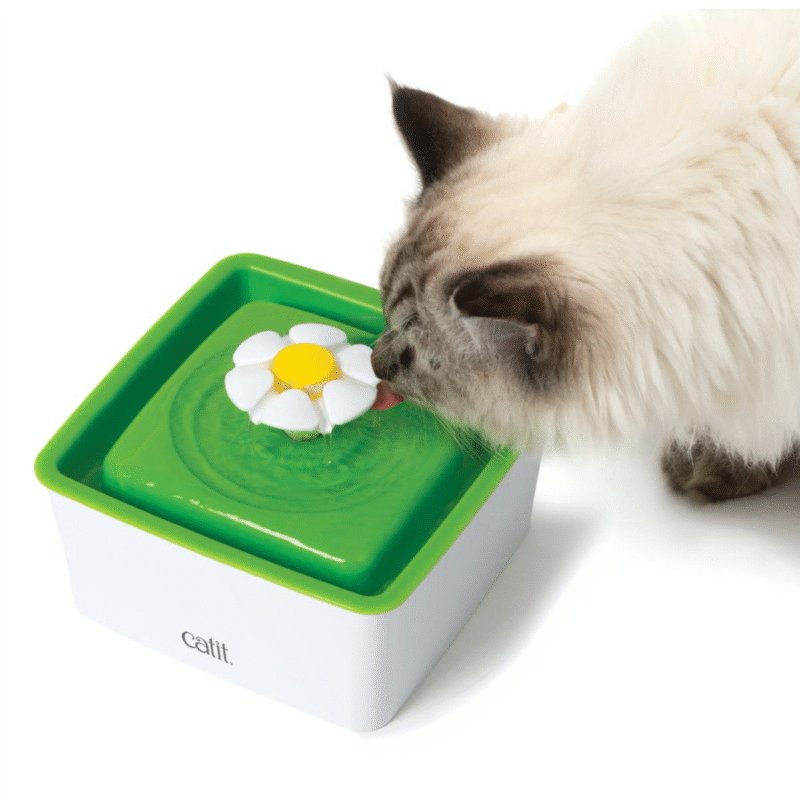 Fuente Bebedera Mini Flor para Gatos Catit 2.0
