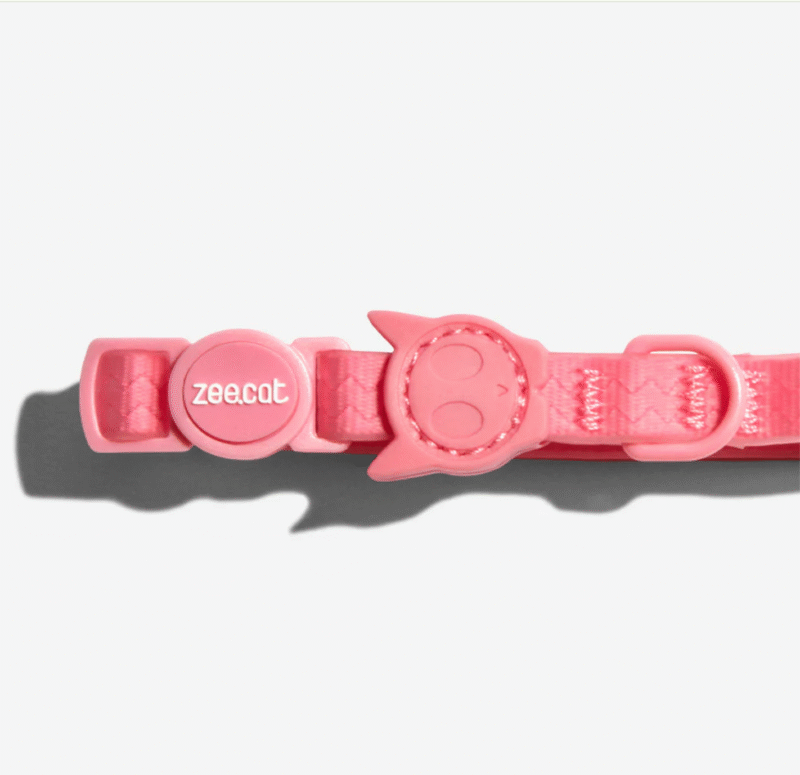 Neopro bubblegum cat 2