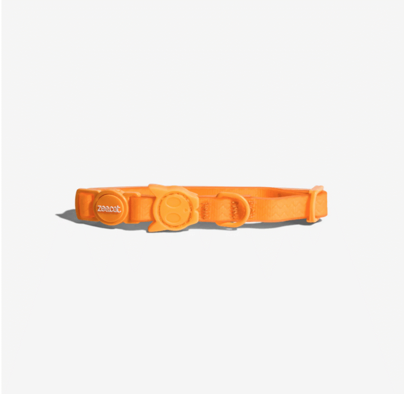 Collar “Neopro Tangerine” Zee.Cat para gato