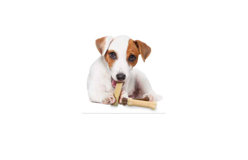 Nylabone juguete resistencia tri-pack 5