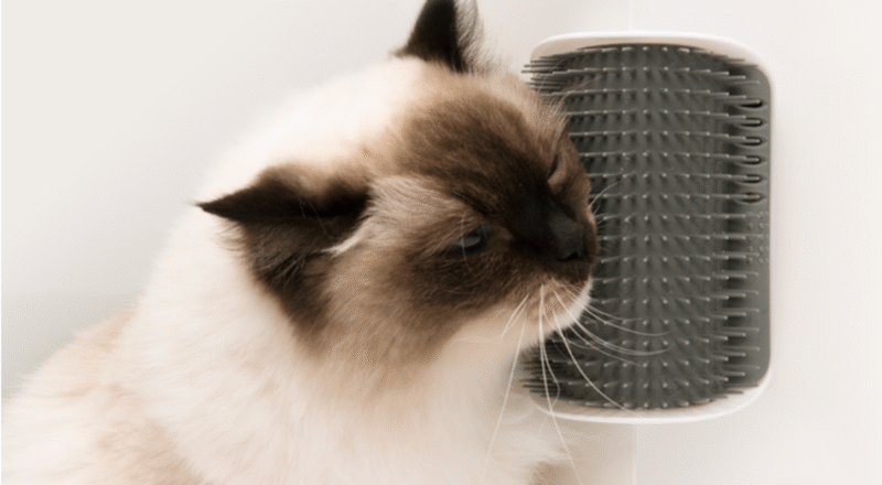 Cepillo de Pared Autoservicio "Self Groomer" con Catnip para Gatos