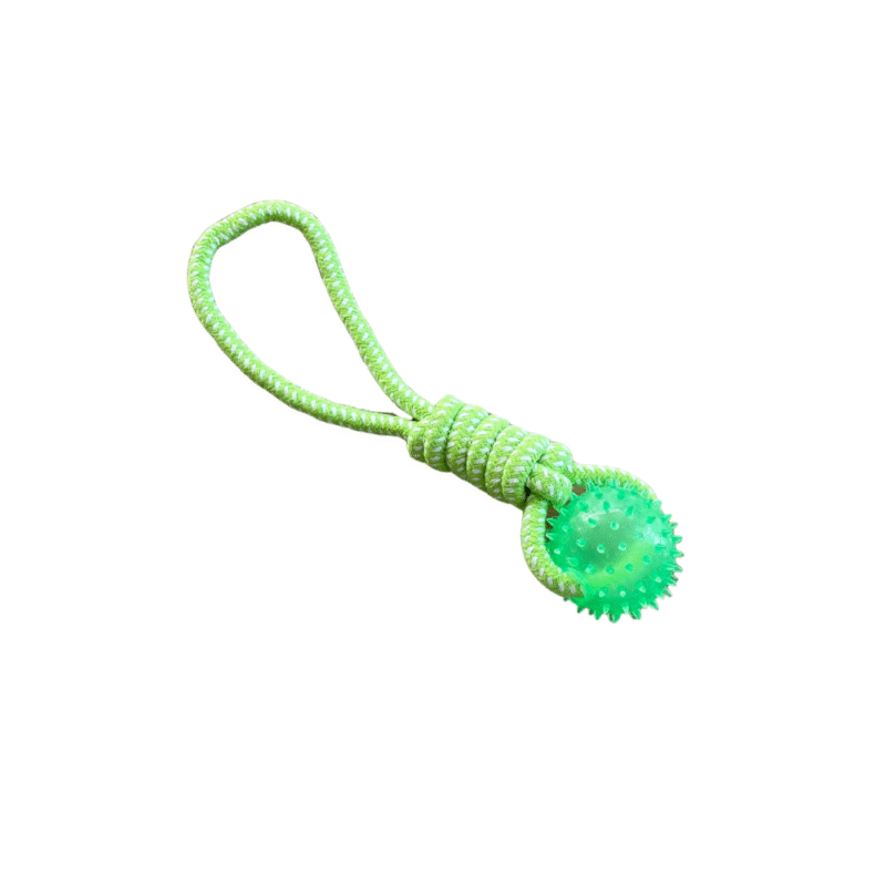 Juguete Mordedor con Cuerda y Pelota Texturizada para Perros Verde