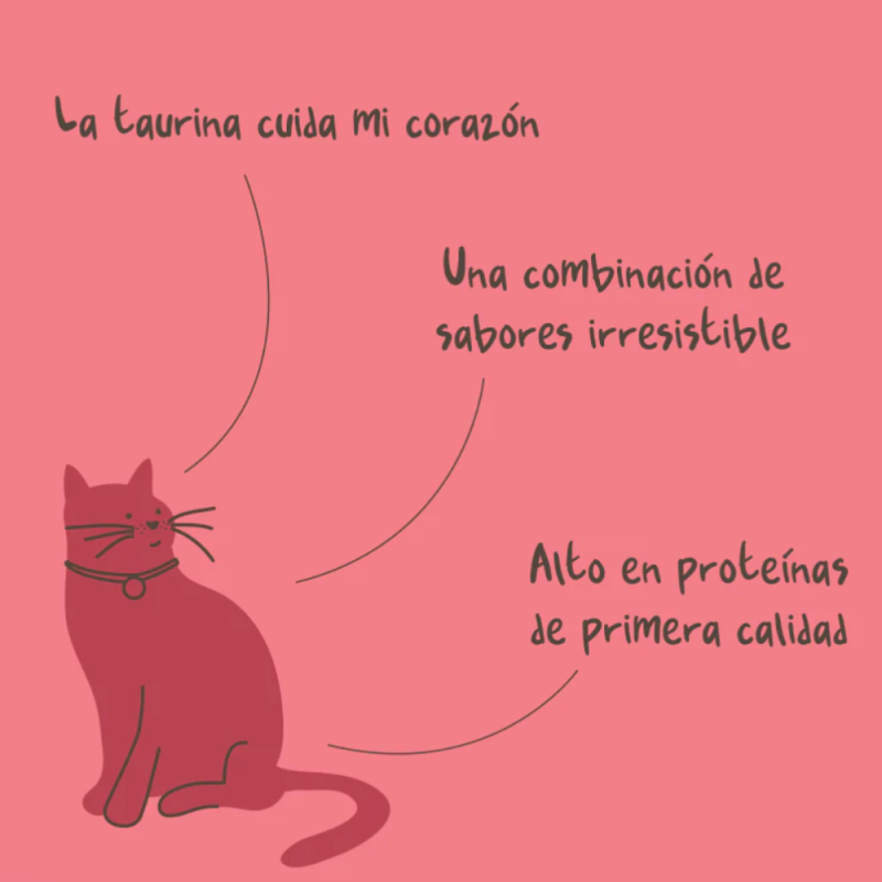 Magic Salmon para gatos 3
