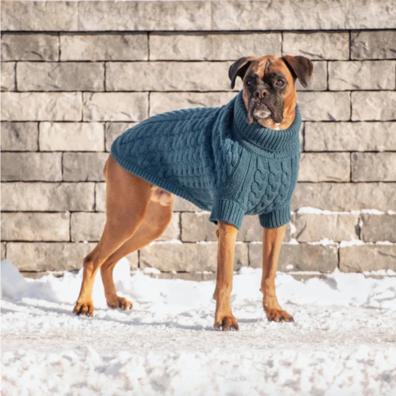 Sweater Chalet Verde Azulado para Perros GF Pet