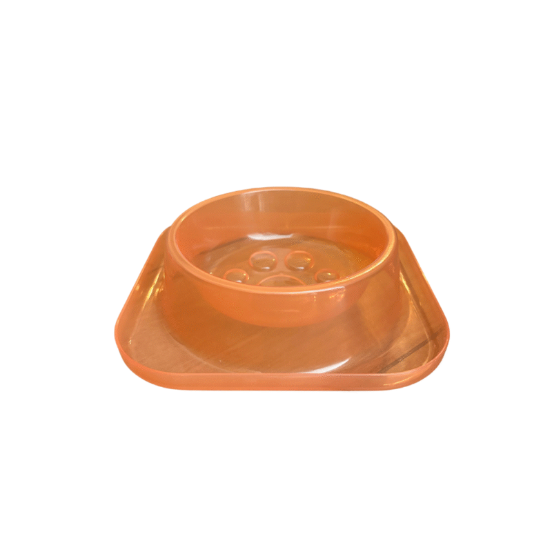 Plato Ergonómico para Gatos Transparente