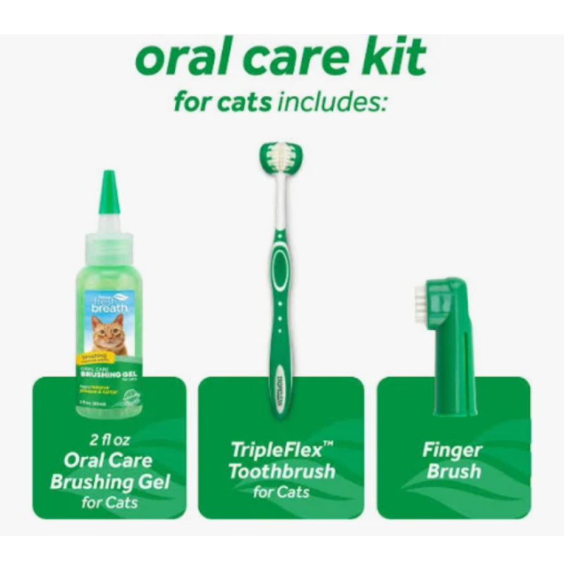 oral care kit for cats 2